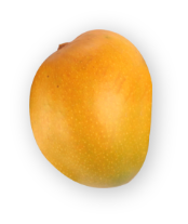 1image